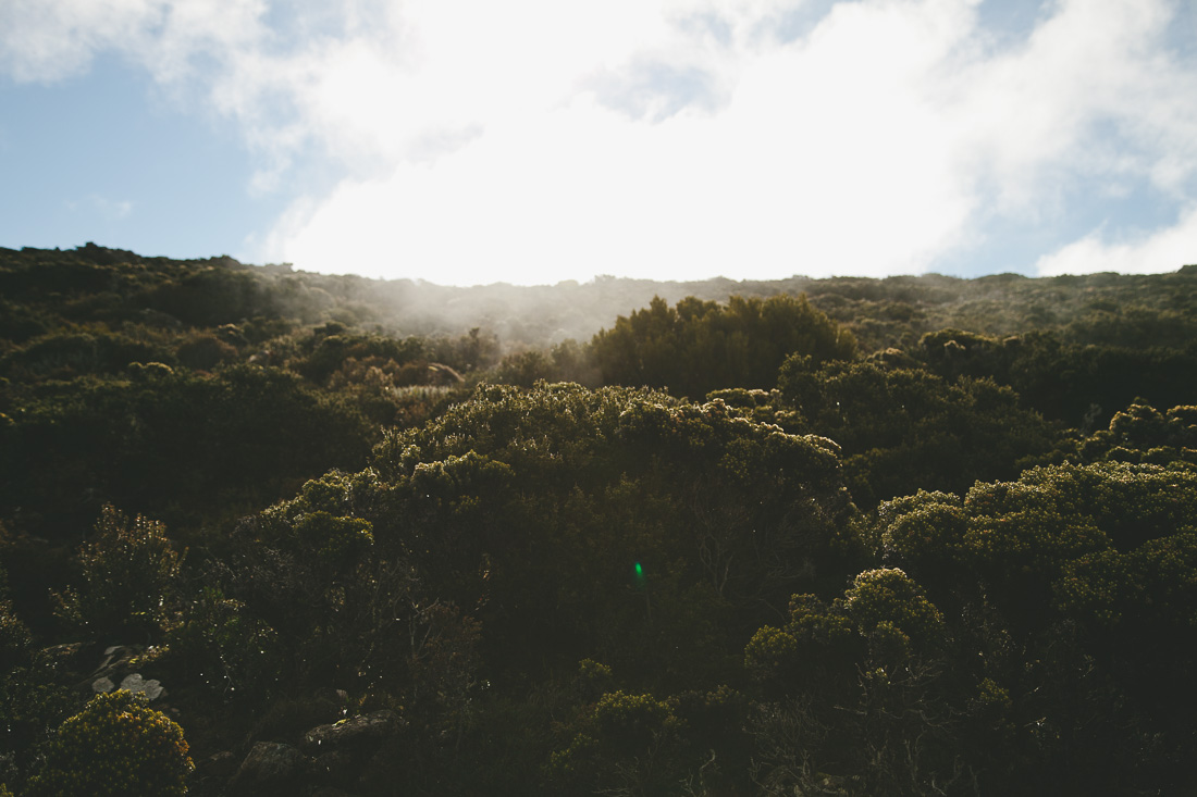 Tasmania 2014 20