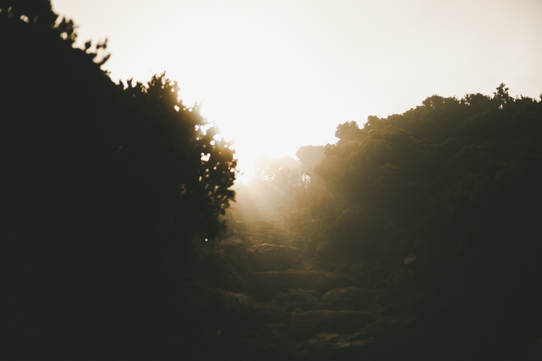 Tasmania 2014 19