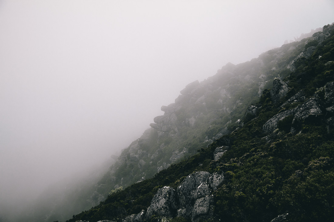 Tasmania 2014 18