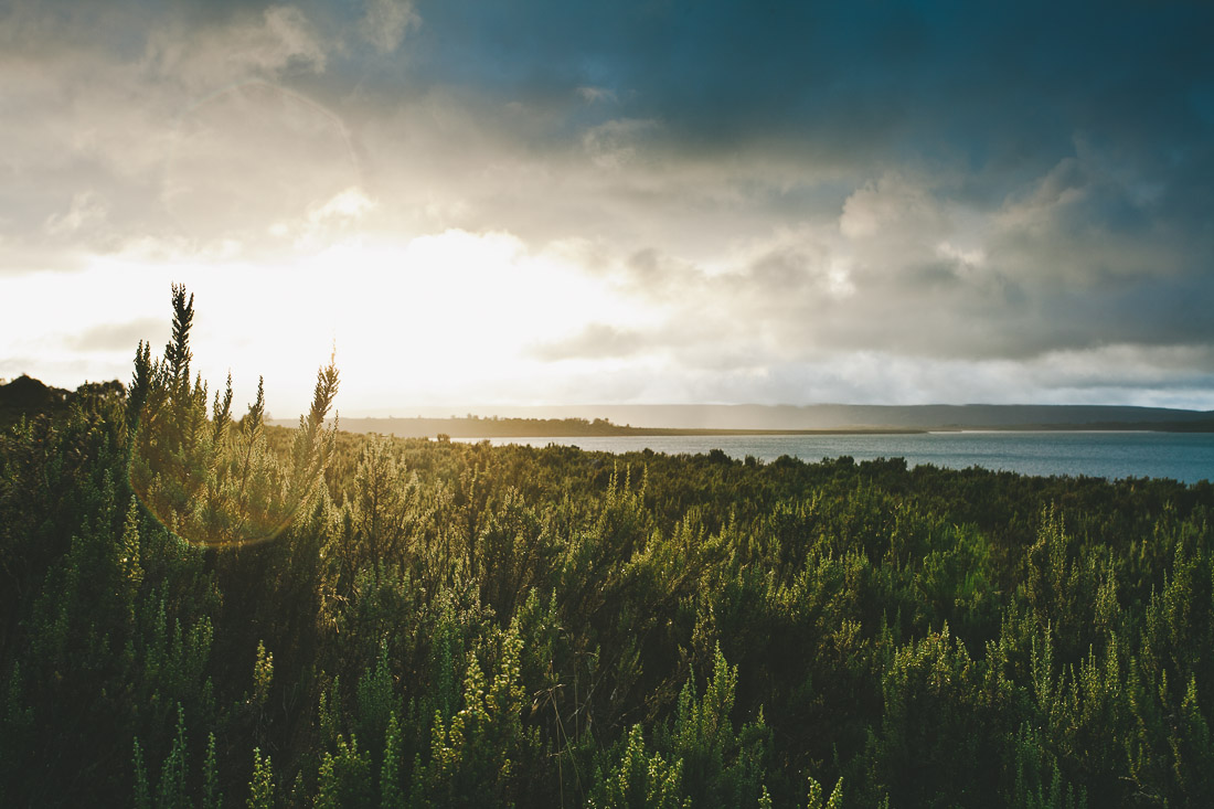 Tasmania 2014 14