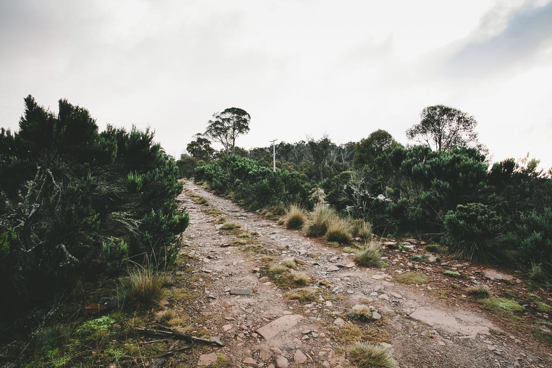 Tasmania 2014 15