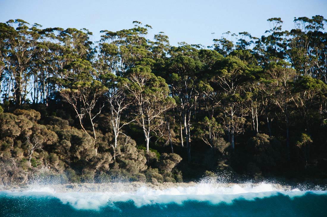 Tasmania 2014 9