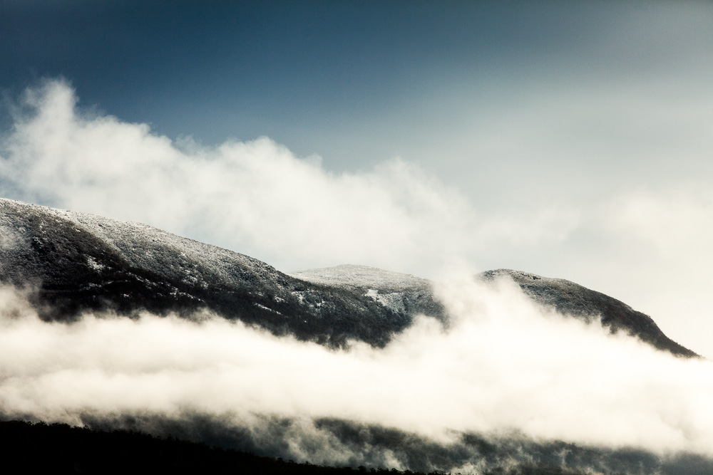 Tasmania 2014 3