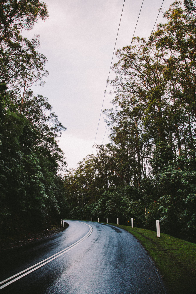 Tasmania 2014 4