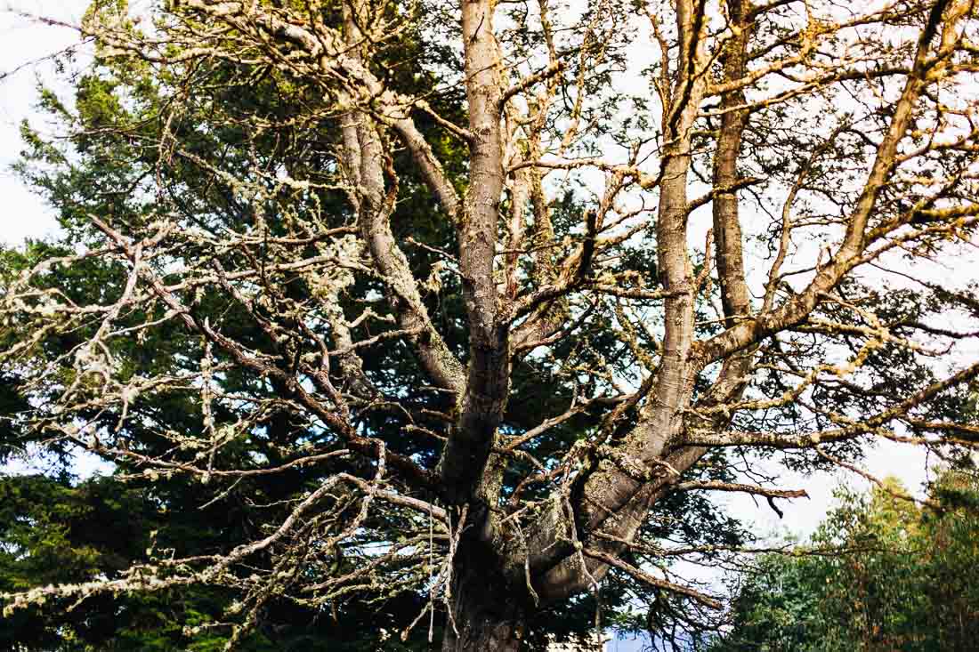 Pumphouse Point 30