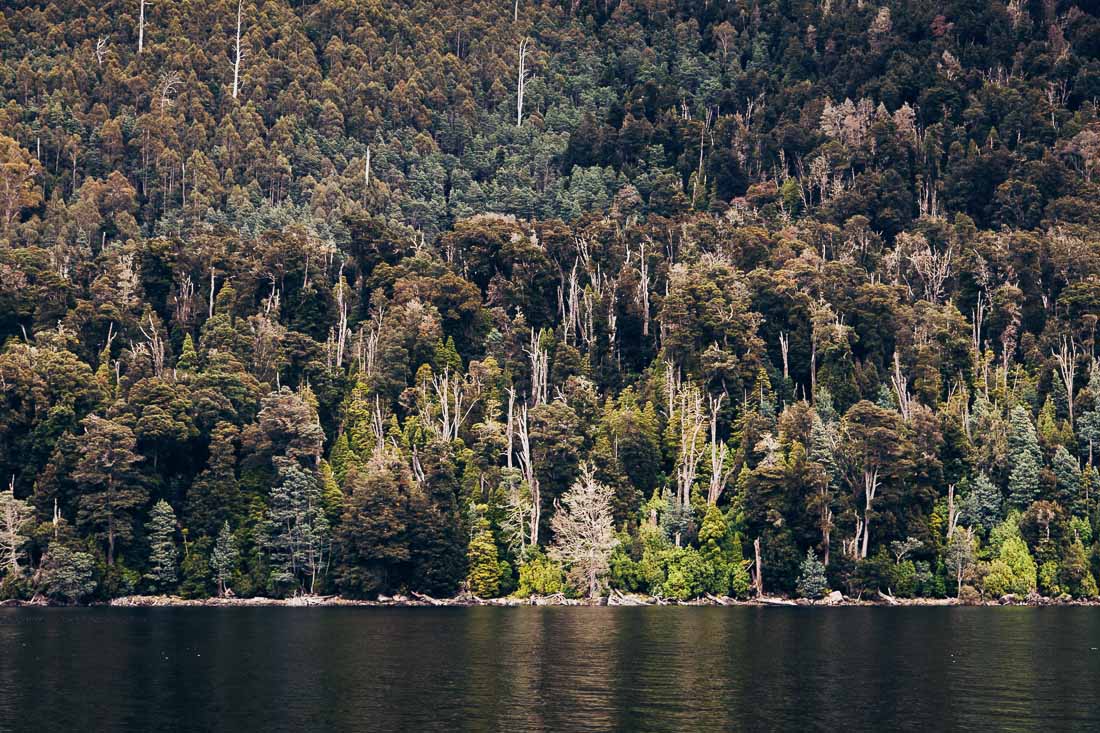 Pumphouse Point 31