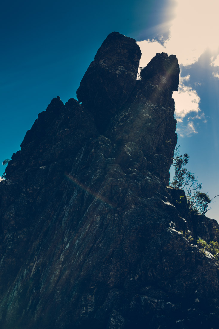 The Needles – Mt Field 4