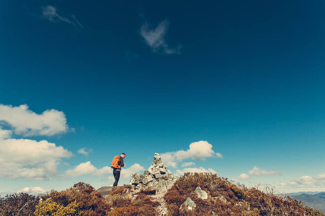 The Needles – Mt Field 11