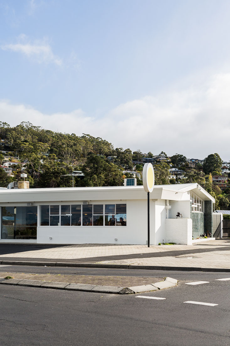 The Salty Dog 12