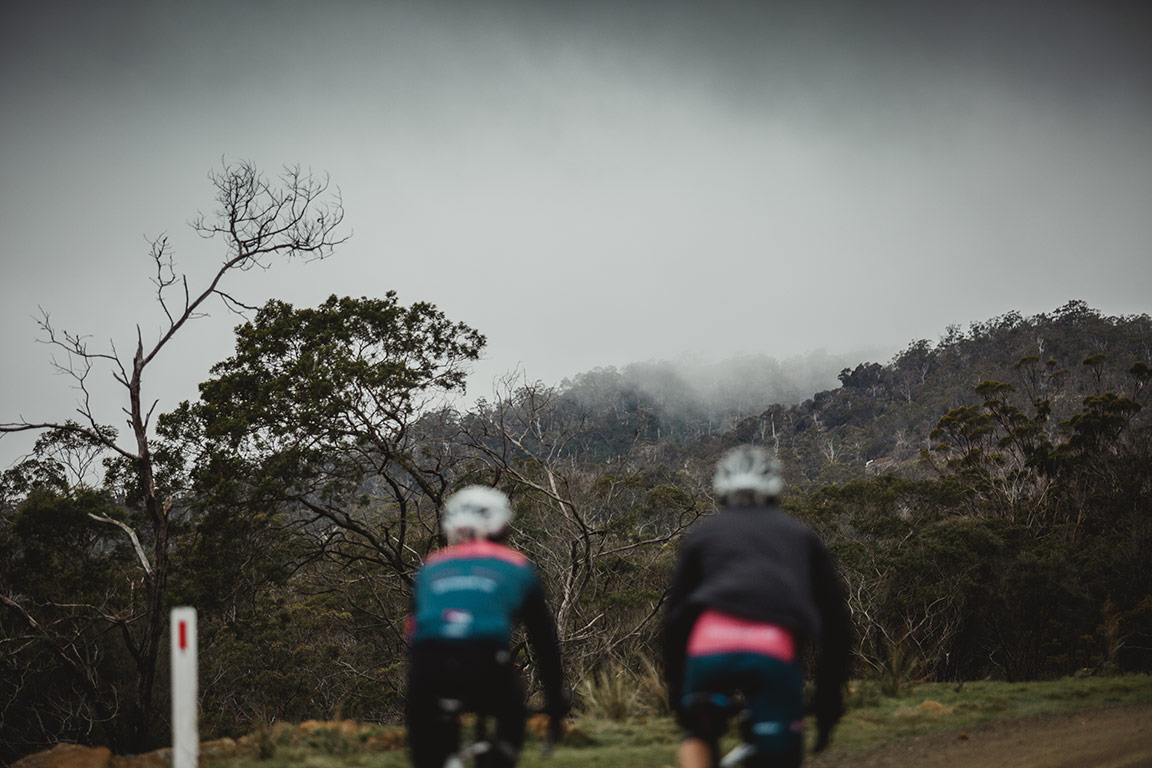 Rouleur Wine Co 5