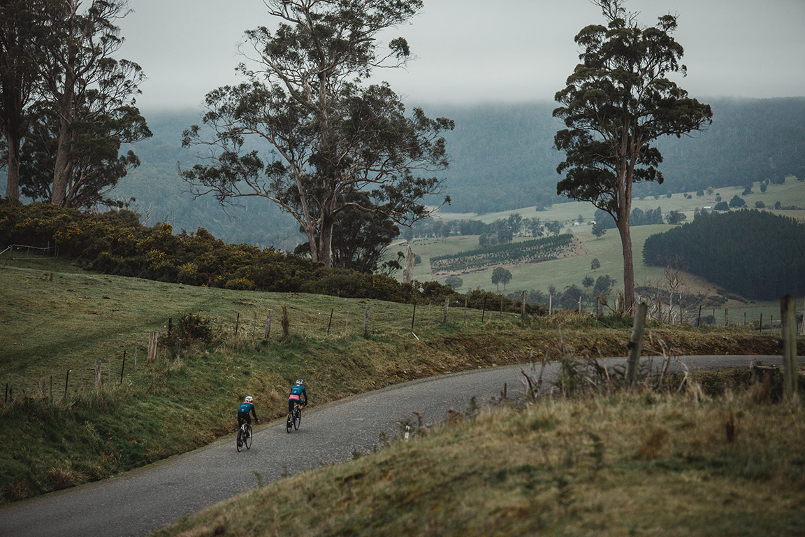 Rouleur Wine Co 10