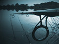 fishing rods