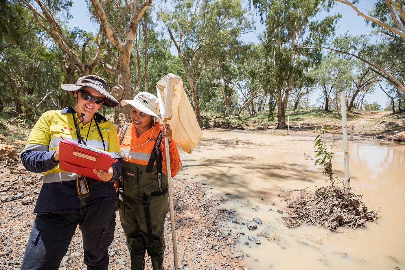Environmental Management at the Carmichael Project