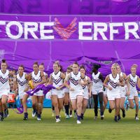 Fremantle Dockers have drafted new players for the 2019 season. Picture: Adam Trafford/AFL Media/Getty Images