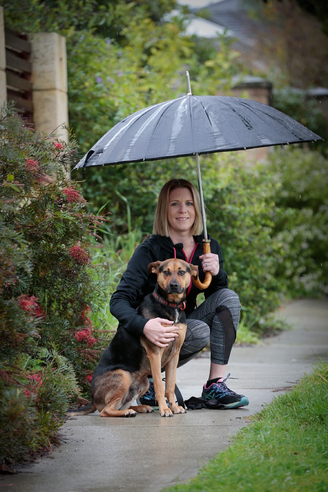 Dog Parks Mandurah Dog Parks Mandurah