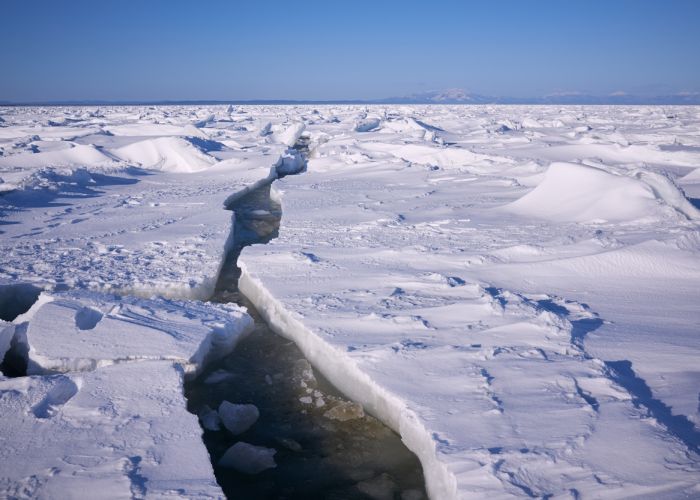 Icebergs breaking off the Antarctic shelf