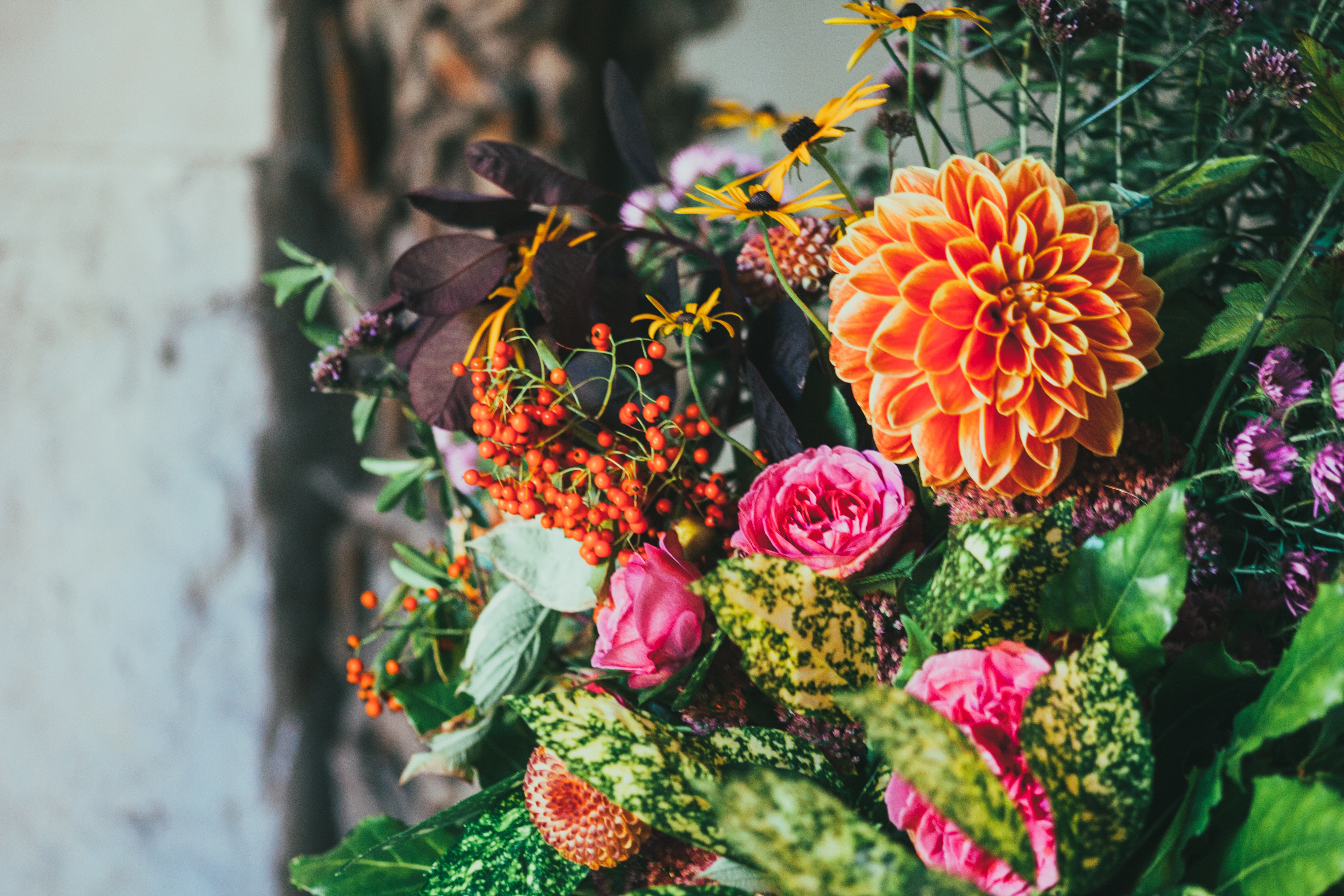 The City of Perth Spring in the City 2017