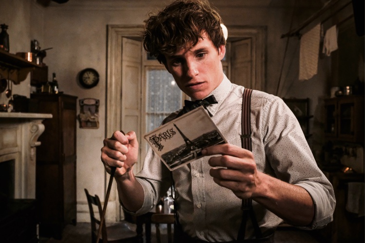 Film review: Fantastic Beasts: The Crimes of Grindelwald