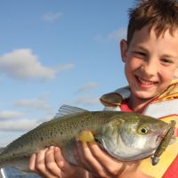 A warning has been issued over fishing at sections of the Swan River.