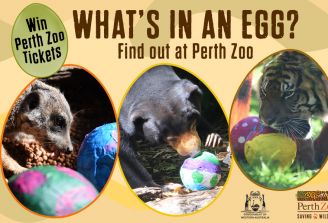 Win a family pass to Perth Zoo