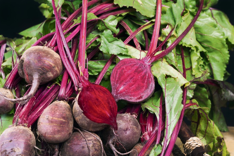 Plant beetroot in winter.