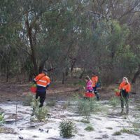 Staff from Workpower carrying out planting at Lake Badgerup, Wanneroo.