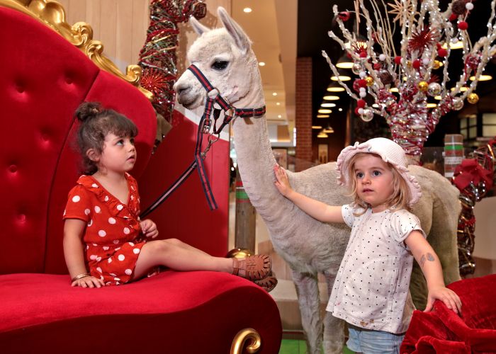 Zyah Alanzy (3), of Clarkson, and Harper Hole (2), of Alkimos, with Trixie the alpaca at Ocean Keys Shopping Centre, which will offer pet photos with Santa this year and some unusual pets are allowed. Picture: David Baylis www.communitypix.com.au d496914