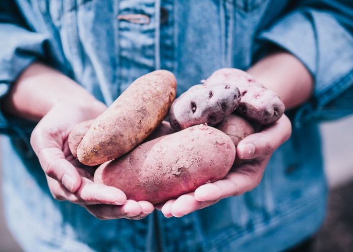 Potatoes a healthy powerhouse for every day