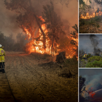 The bushfire has been contained. Pictures: DFES