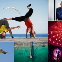 2019 in pictures. Photography: Andrew Ritchie and David Baylis