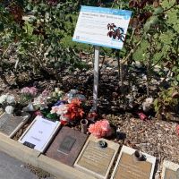 Bon Scott's plaque at Fremantle Cemetery has been sent away to be cleaned.