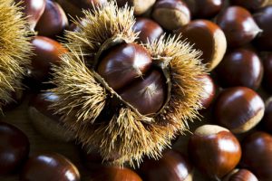 Chestnuts