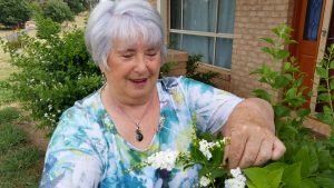 Thelma raids the garden for some foliage