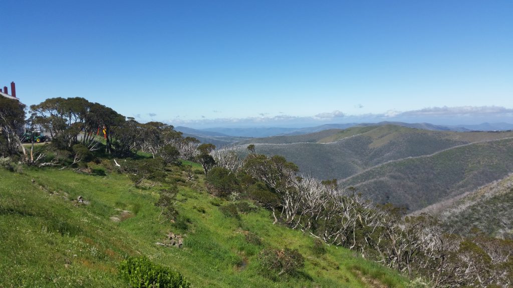 Mount Hotham