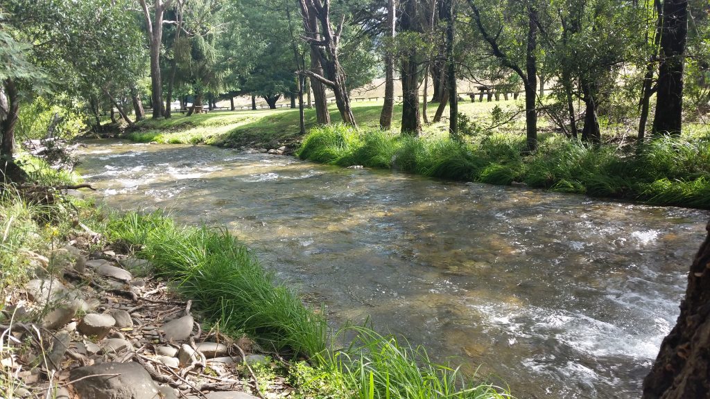 The refreshing Ovens River at Harrietville