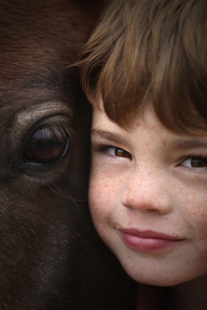 "Horse Boy' by Ann Killeen wins photographic prizes.