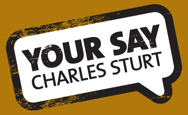 Your Say