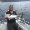 fisholb