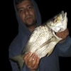 Jay88