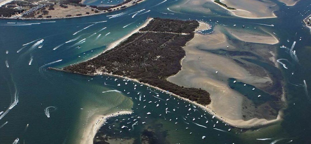 Latest report on Seagrass Sensitivities released