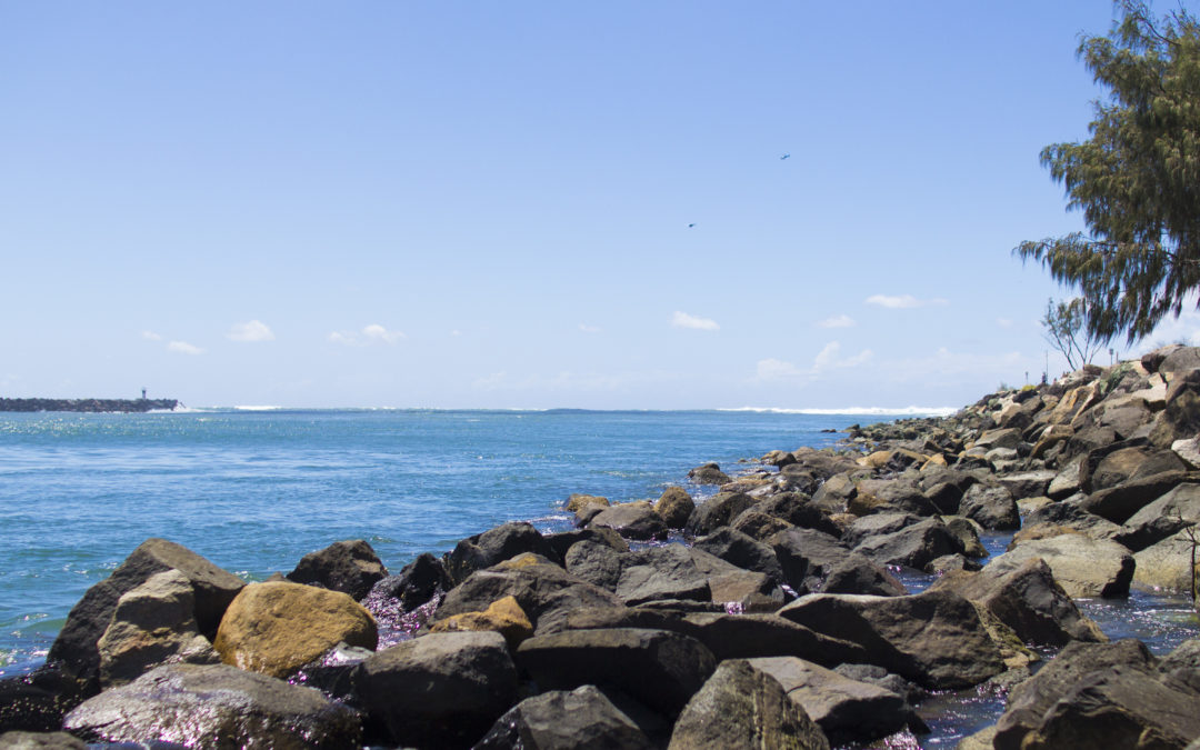 GCWA acts quickly in response to Seaway Tower septic system