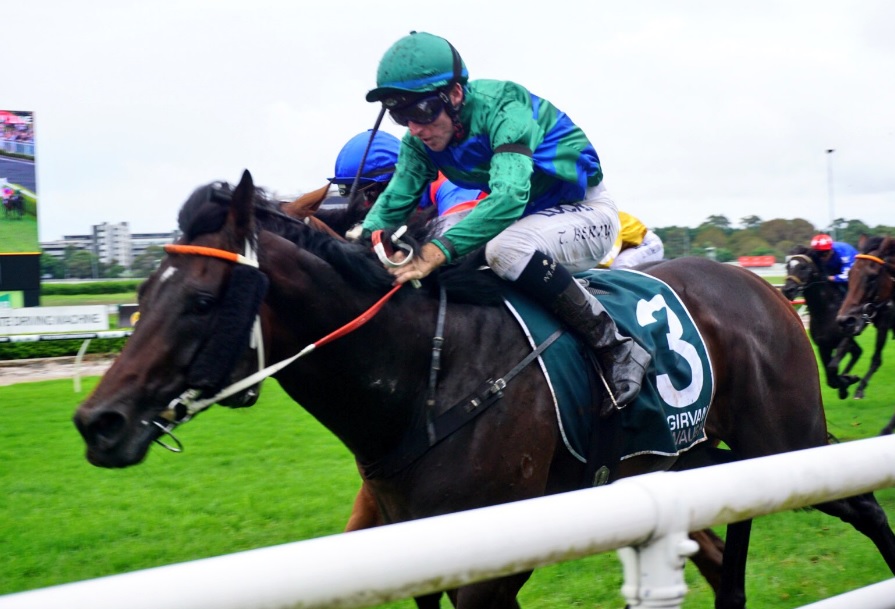 Inference guineas