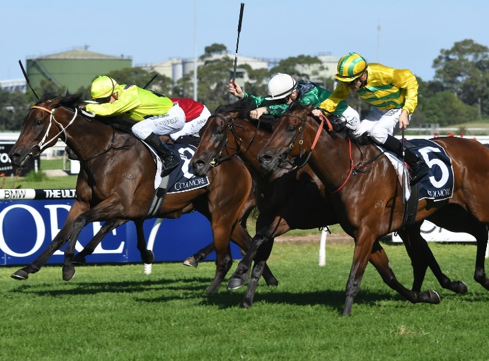 Heavens above coolmore