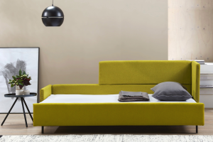 Sofa by Day, Bed by Night