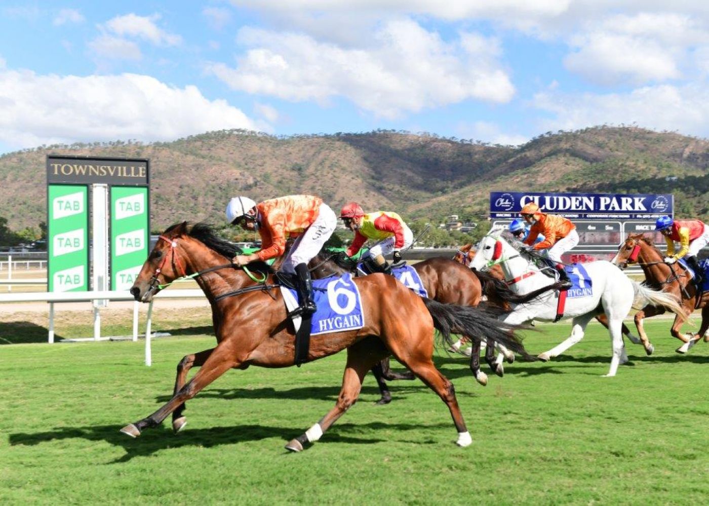 Willygood and Wily Hoop All Class in Flying Win