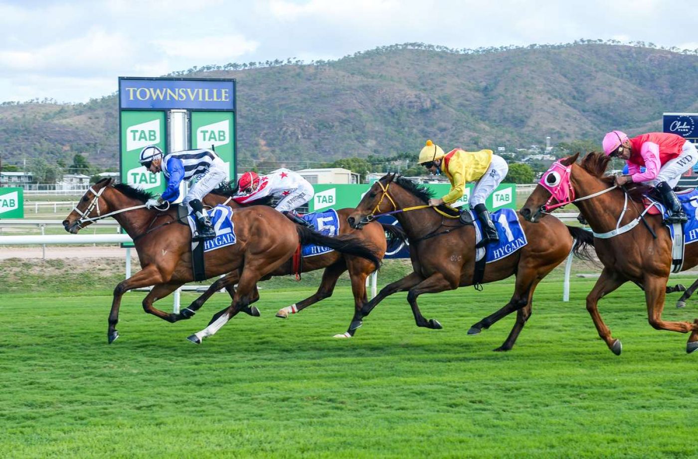 Therapy Proves a Hit with Boom Galloper