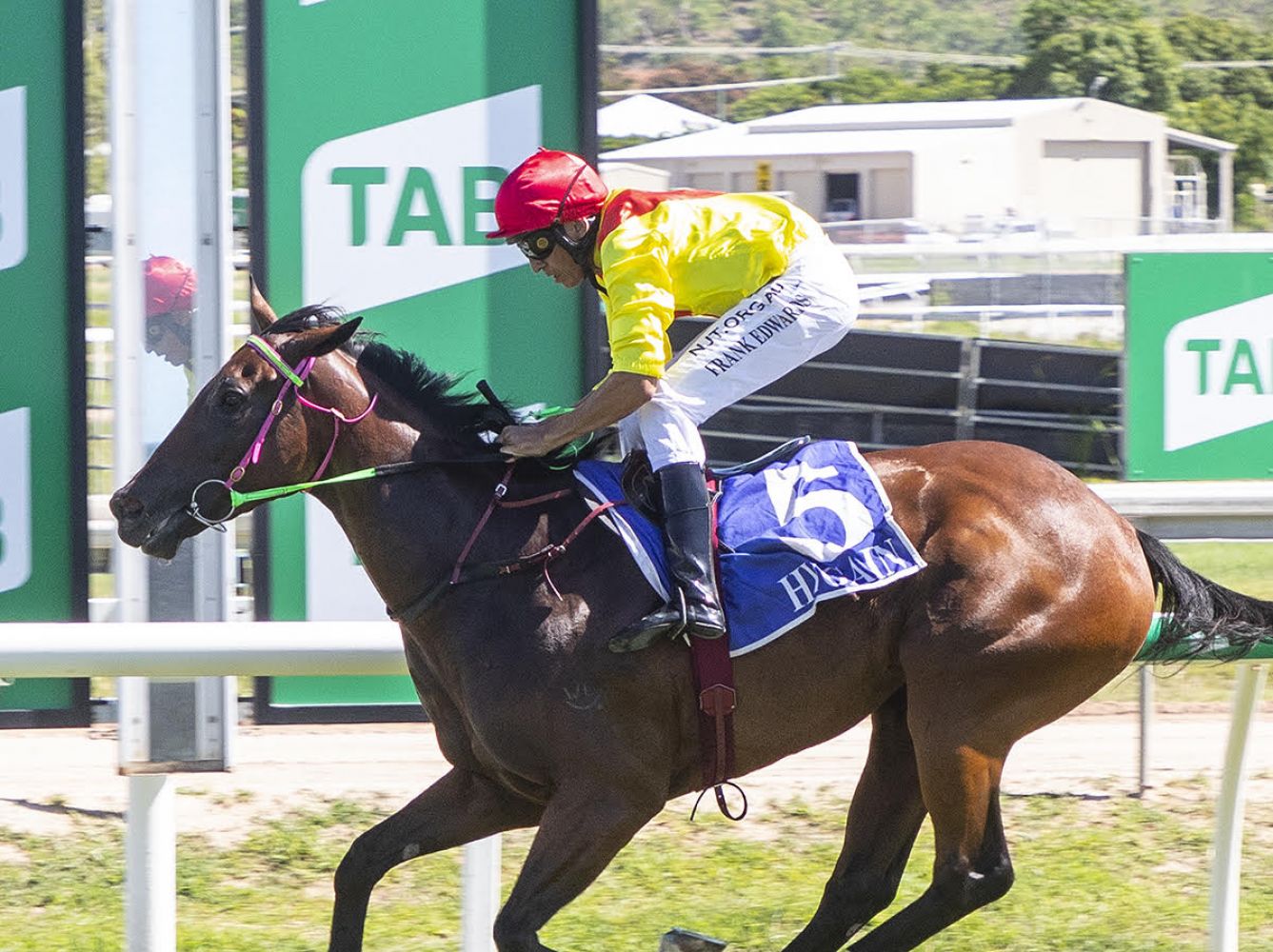Ruby Ready to Sparkle in Cluden Return