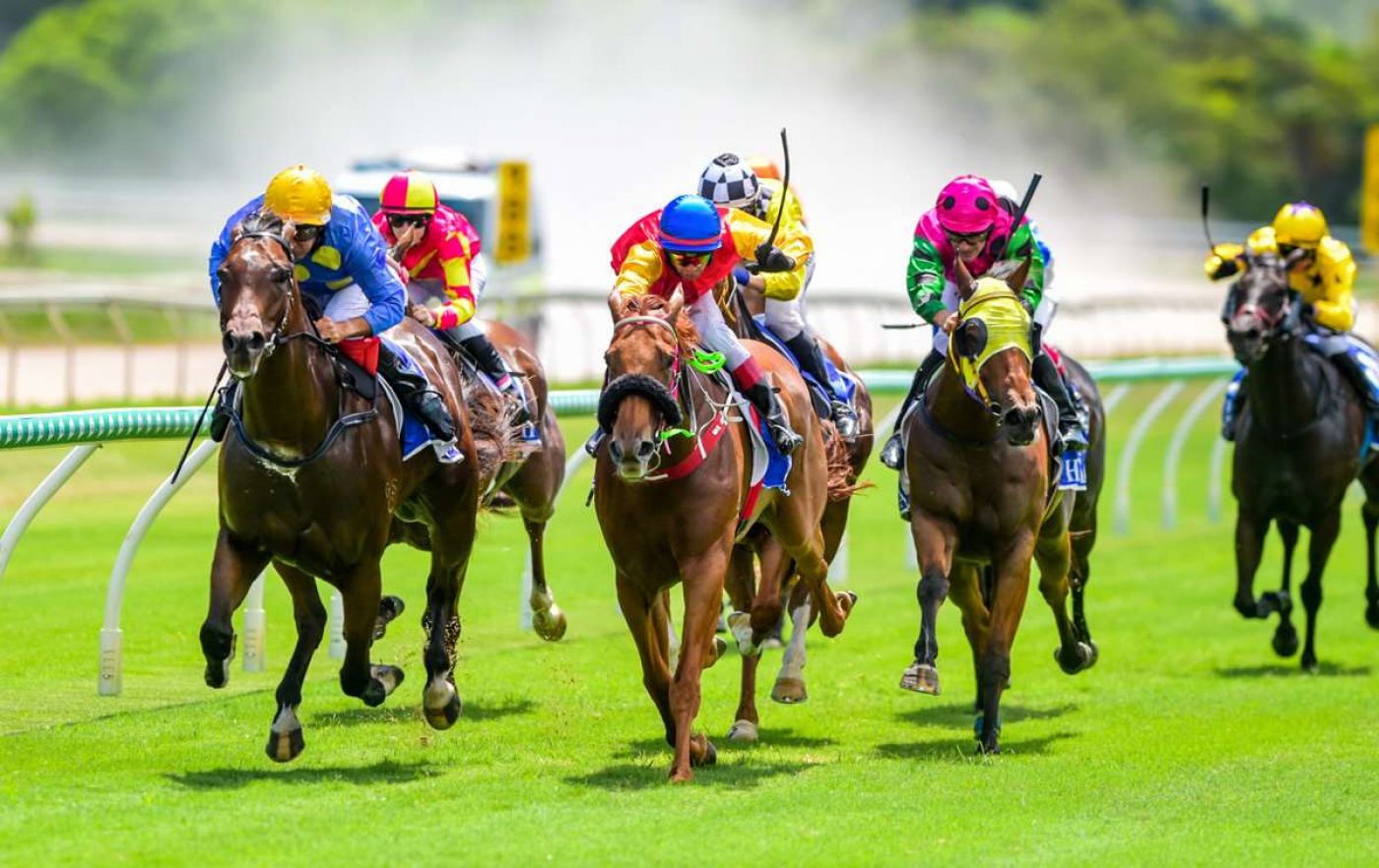 Sydney Cast-Off Delivers Timely Tonic for Terry