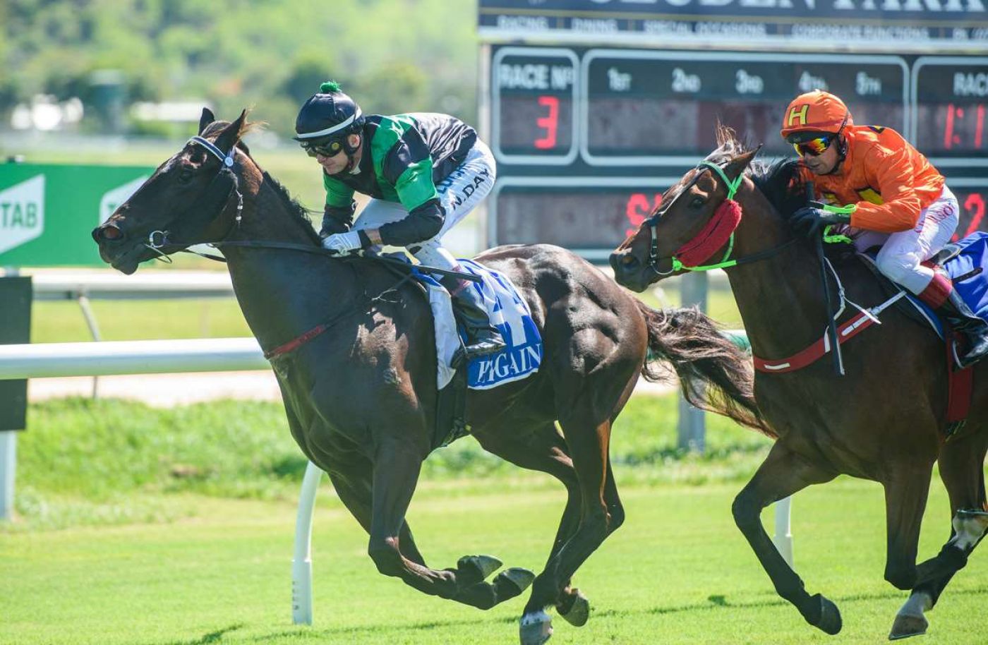 Hammer Delivers Big Betting Blow in Cluden Win