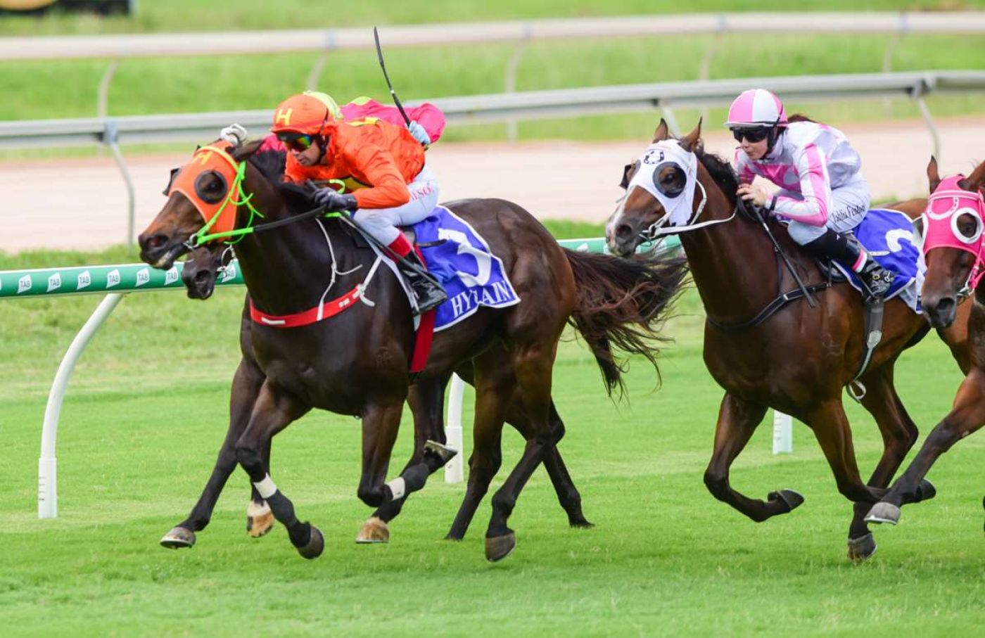 Love Is Blind All Set for Hot Date at Cluden